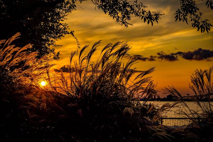 Sunset Water Orange Summer Sun Sky Landscape